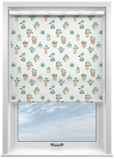 Succulent Plant Pots, Lush Green - Roller Blind